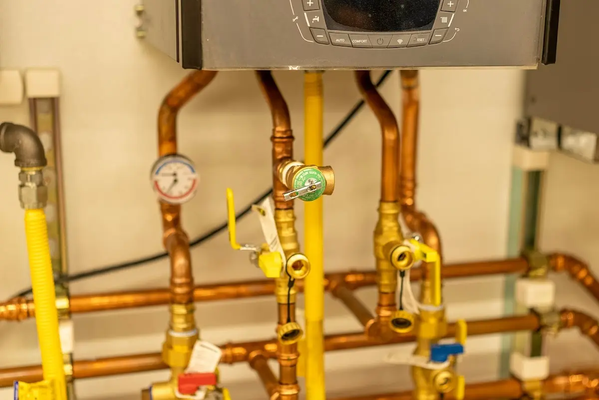 Licensed technician providing Sump Pump Repair for a homeowner in Richton Park